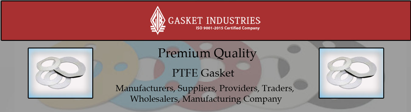 PTFE Gasket