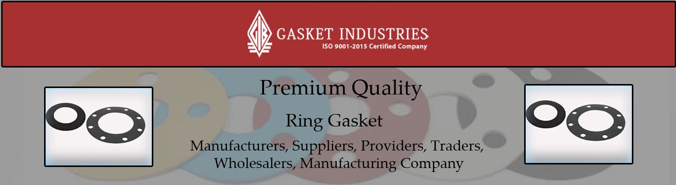 Ring Gasket